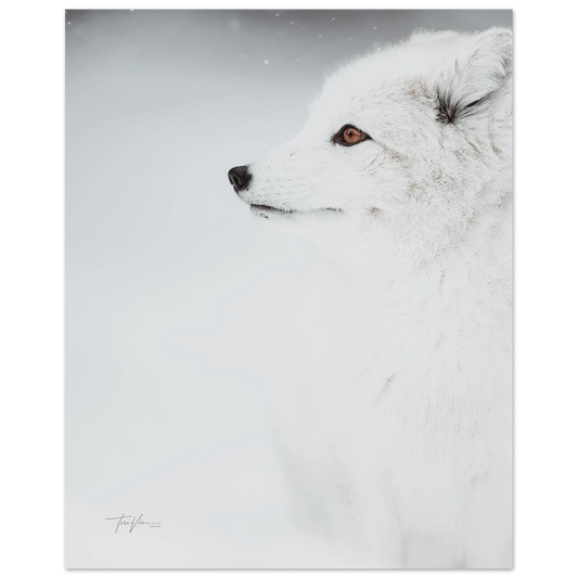 03d7227f-bc7a-4b12-ae0f-641d8510bc11