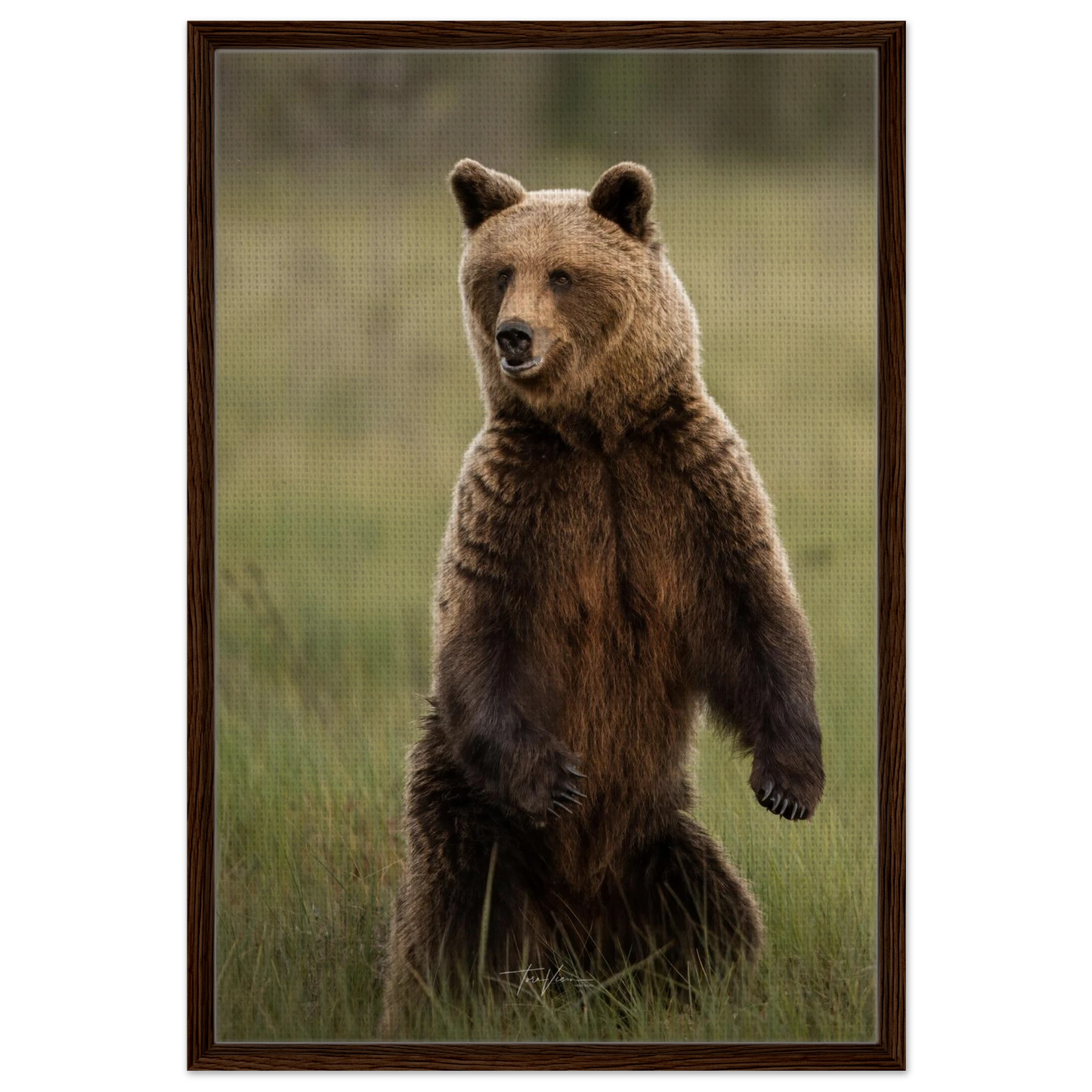 03ed8d4b-9c62-4cfa-906e-66e1ac17e196