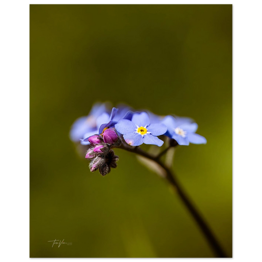 05f7d587-0f9e-4e0d-afd3-60eede63887f