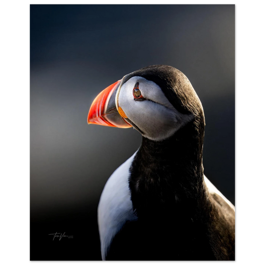 064bfe3c-957d-46e3-a490-2ba1a572c527