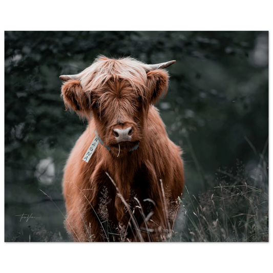 09c79bf4-be30-4e6a-88db-ac3ab874b577