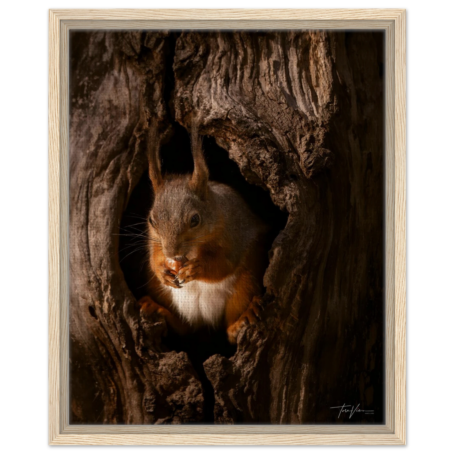 1594a598-d43f-4f0e-a467-244fca326ed7