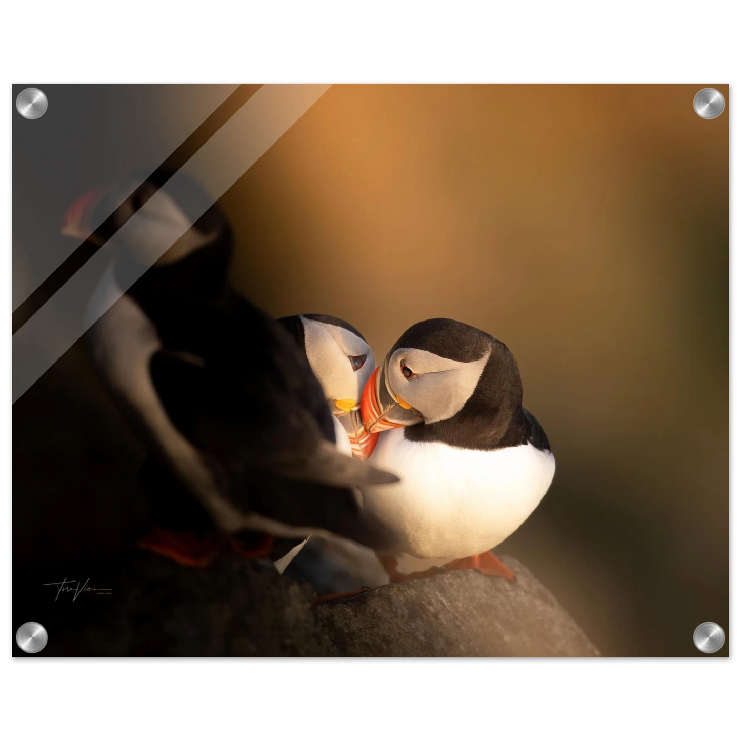 19dc7990-944c-44d1-a892-e2587217f046