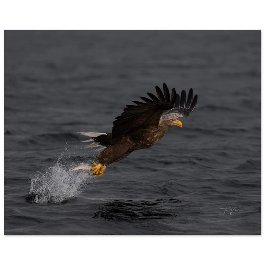 1c47f46b-afd5-4986-b82e-d732d77f7adc