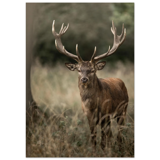 20047162-55c4-42db-82ff-25b16024553b