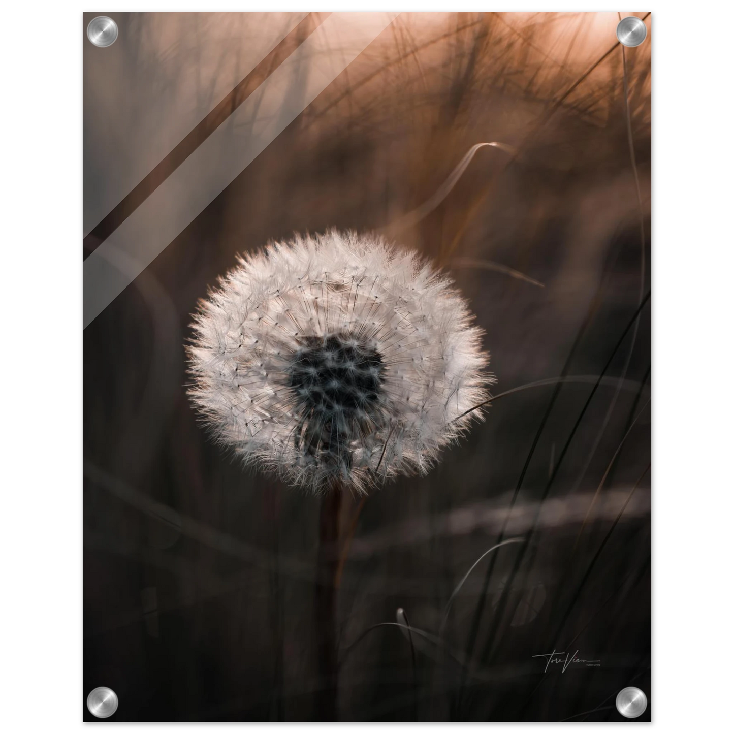 21ca2024-4c52-4117-9893-f70b18645316