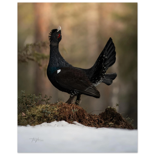 26a4c4b2-7798-45ab-8a13-922a570e07dc