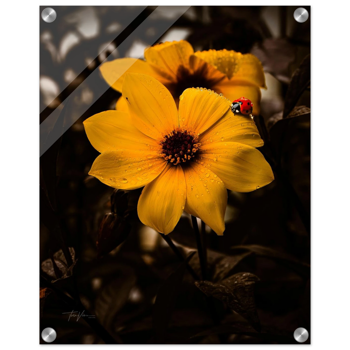 26a9721f-094b-420a-933f-cdc5ec3587f7