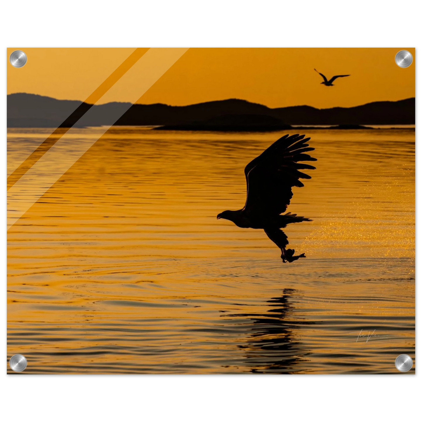 2eead8e0-1788-4d4d-8673-abfdbf6406ef