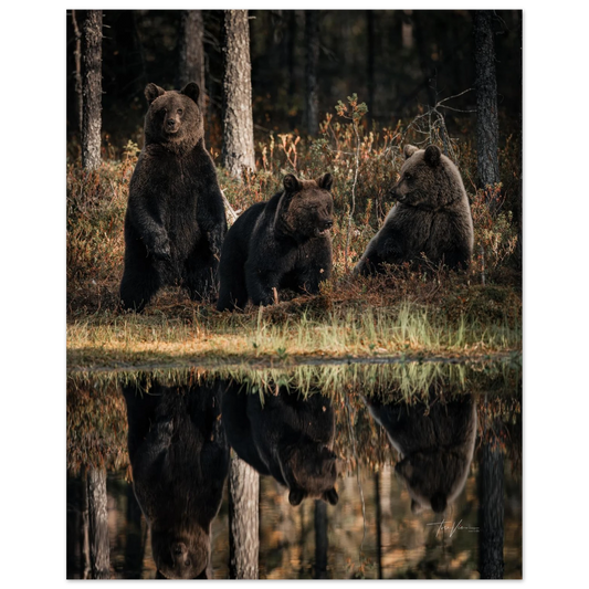 3517a313-ae23-4655-b99b-325b7f0b09c7