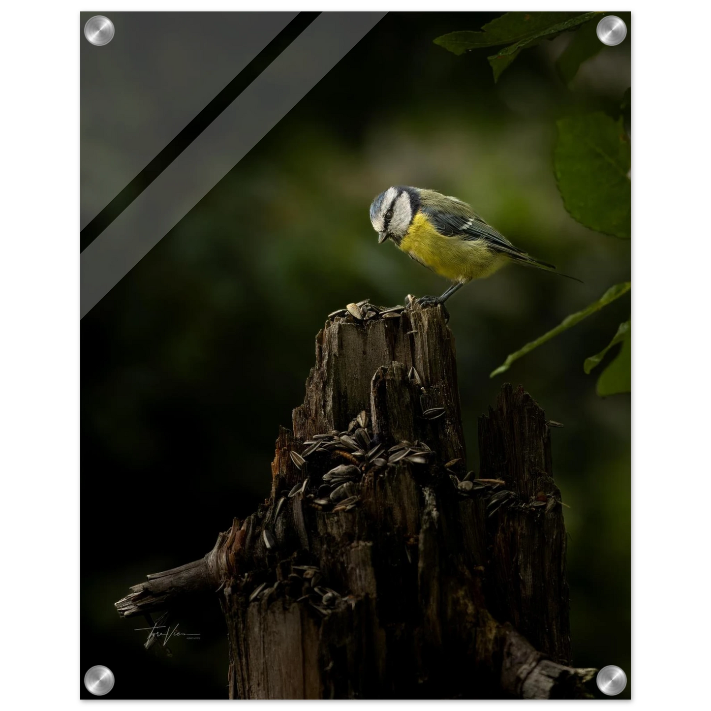 3f07df68-54f1-4878-80b7-7faccaa9c0b8