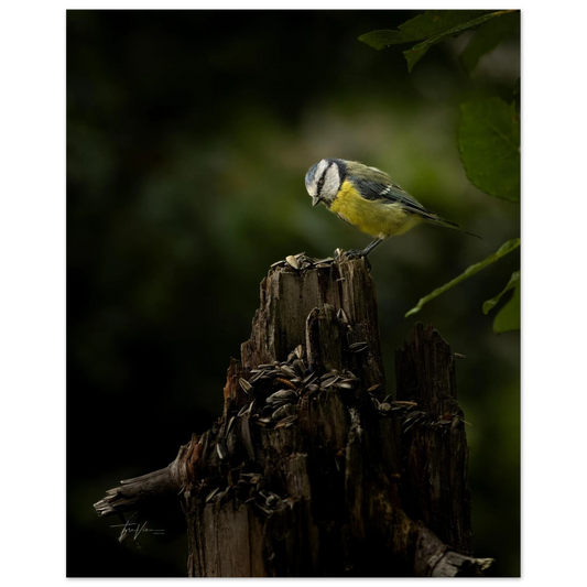 48fad713-2d60-4ec1-908c-cc148515ac5b