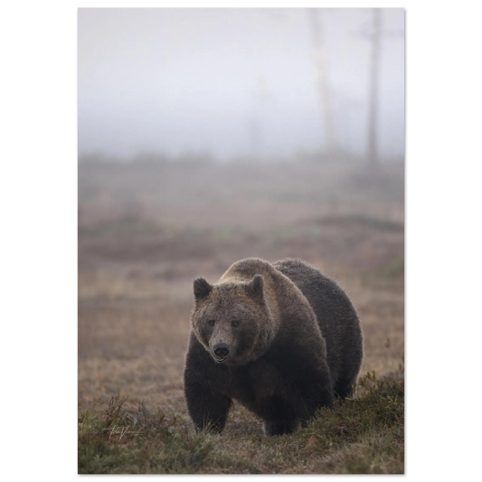 49053ca1-9f4a-451c-b4bd-61066dc2a899