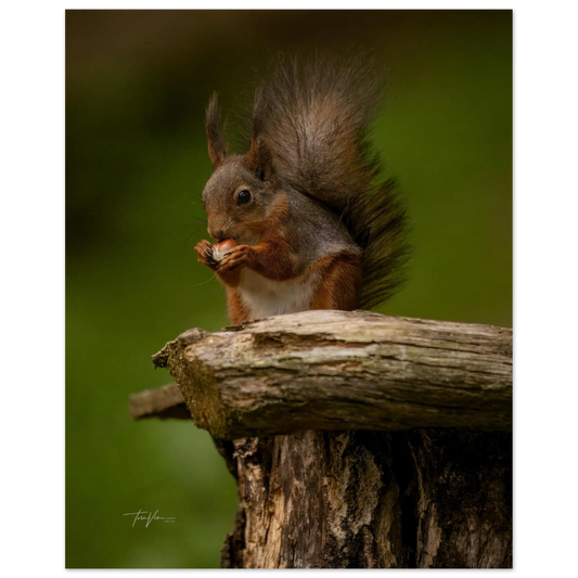 4af6154c-0307-4f0b-9daf-e3b8c9639984