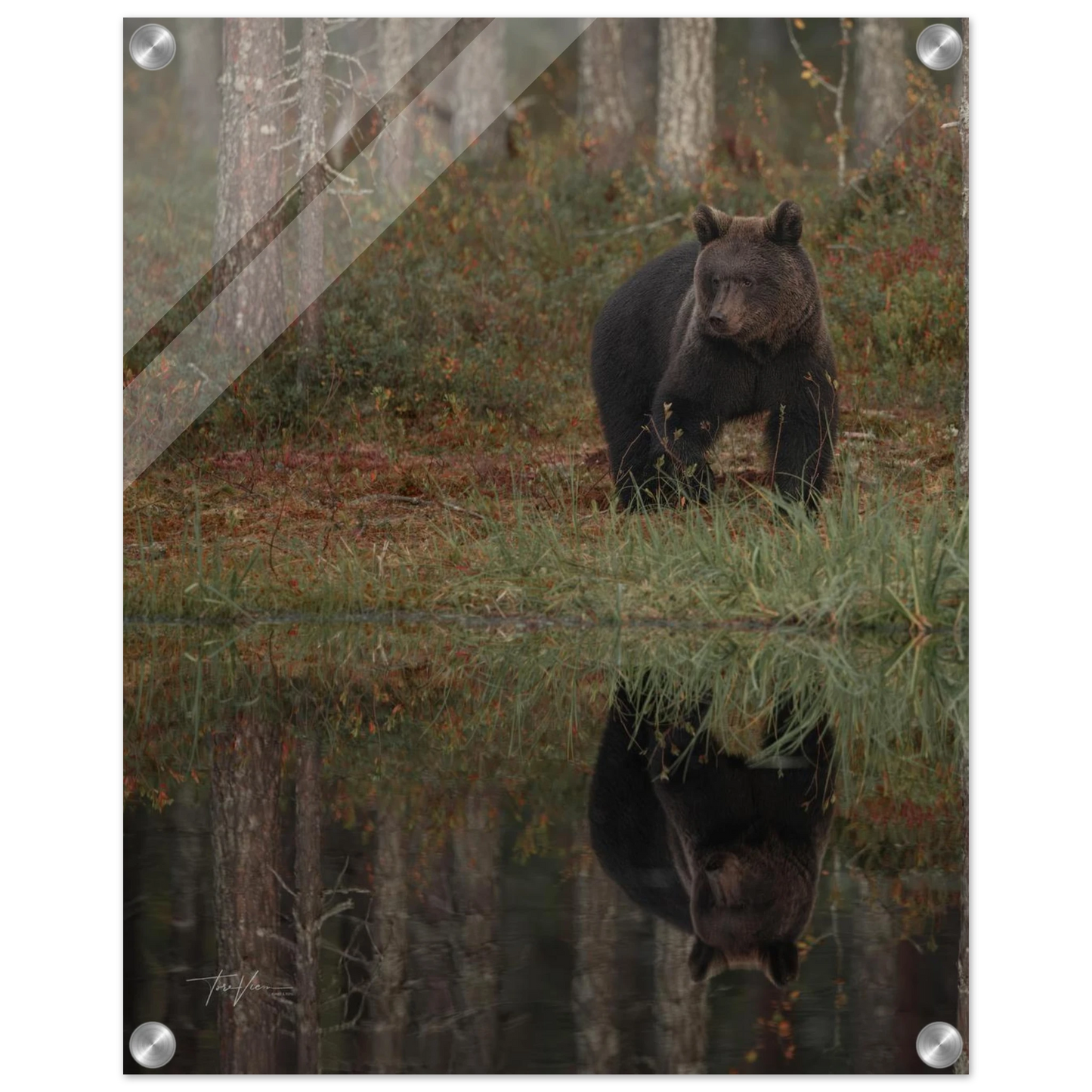 560012be-2cf2-429b-836d-24082ca03e9a