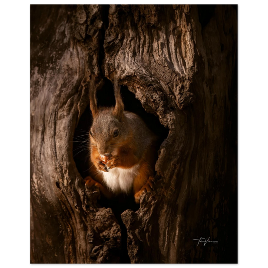 5661559d-eb37-4cd5-99fe-5bec5c4e6160