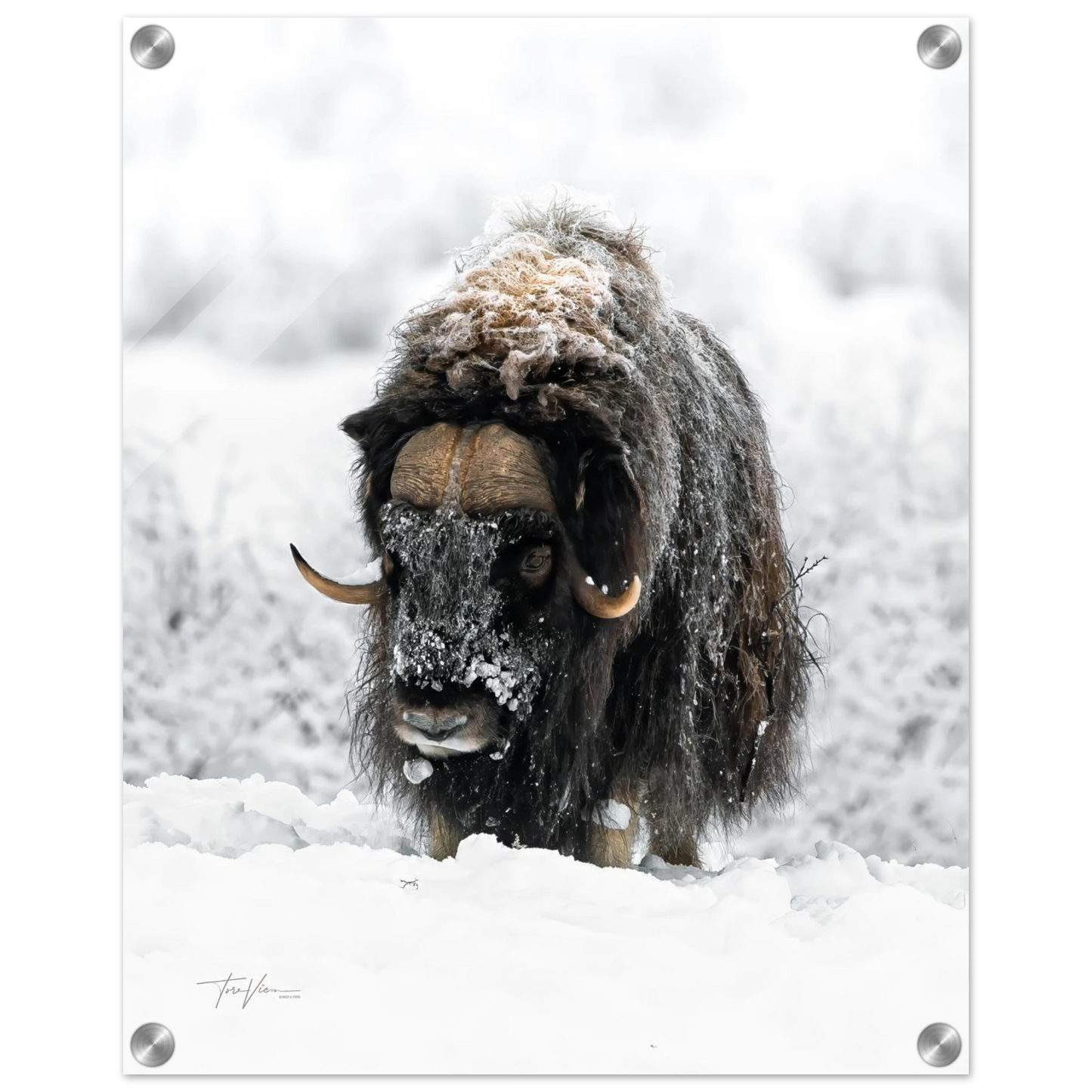 6969720e-5755-437b-8558-5cdeb28765ff