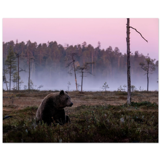 6aaa8a4d-b2cc-4612-84d5-5fedc0d8f21c