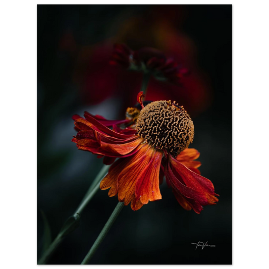 6f368cbe-fa7b-4acb-a326-73d19aee2460