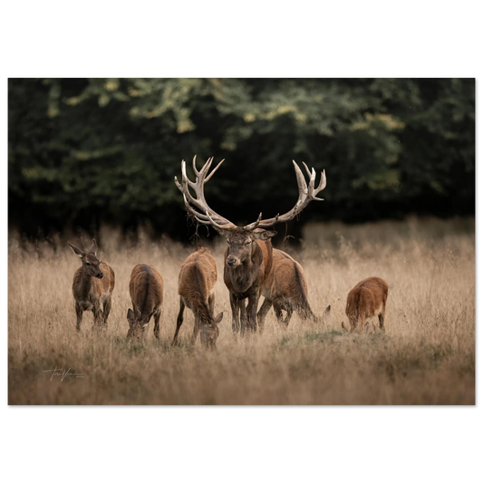 73ed39e5-c57f-47de-b3a2-3191fa40d092