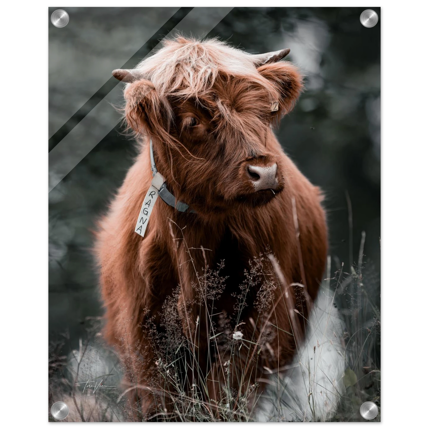 759b7186-71af-4a0d-9813-7d0c7d14d616