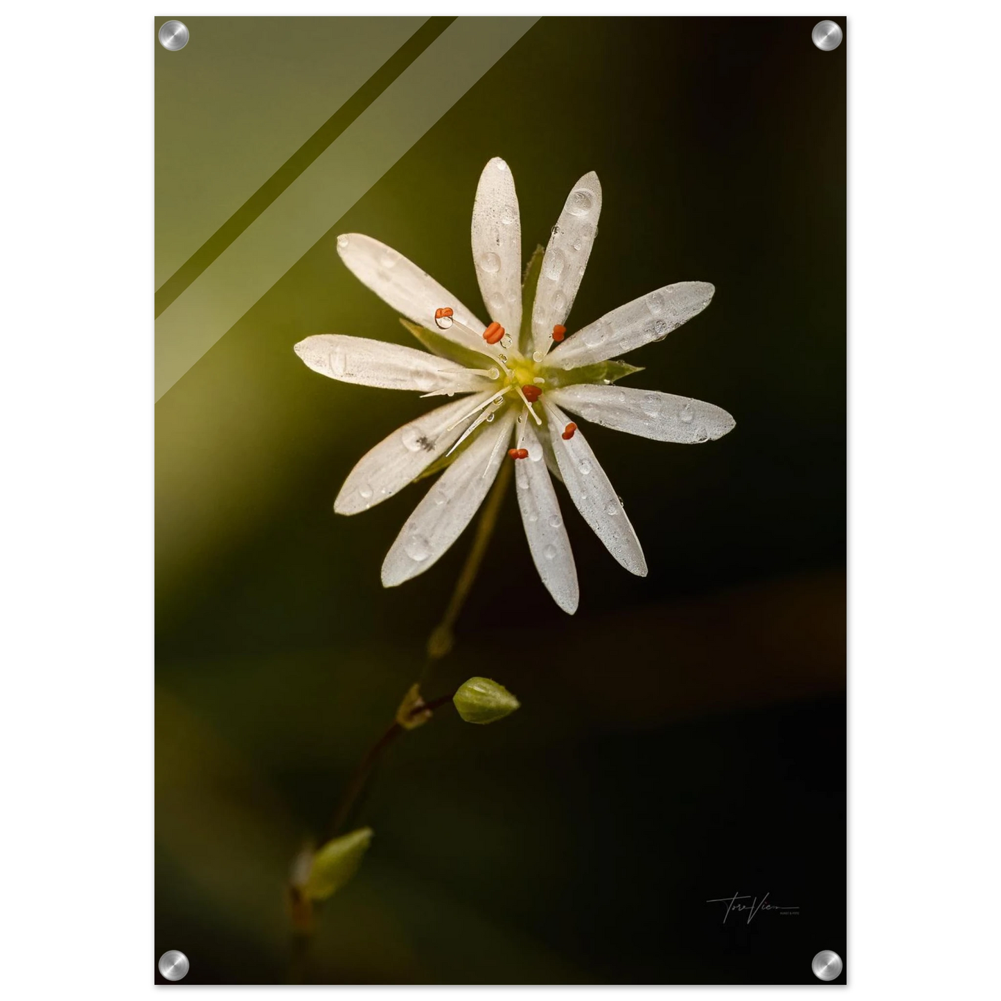 76d7f857-864c-47c4-a293-b122229a0949