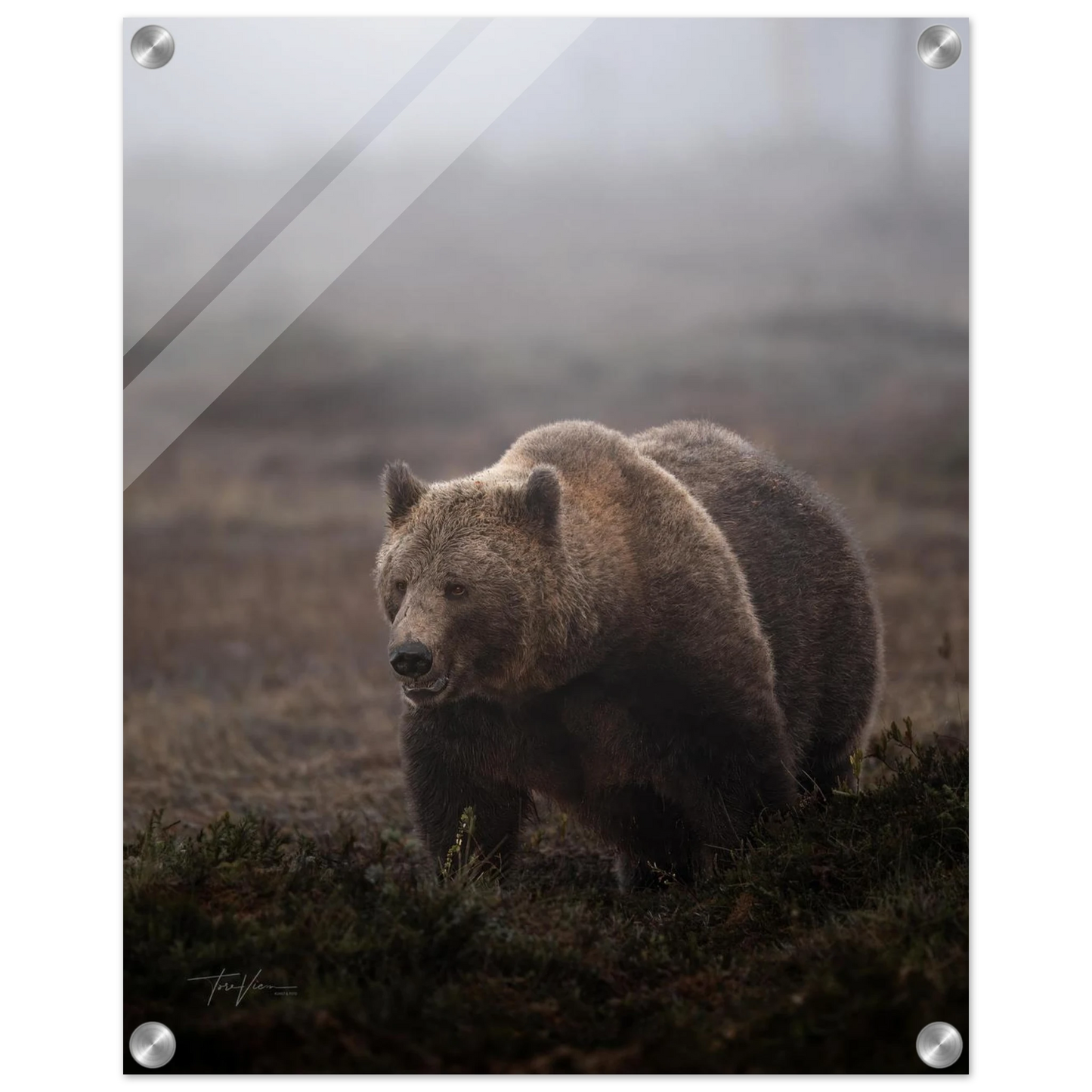 78071c59-db44-4368-a079-ef938e9080a8