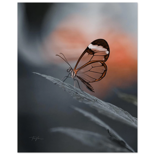 7aa134ec-fe7a-4b73-b2c7-aaad4ca2efb4