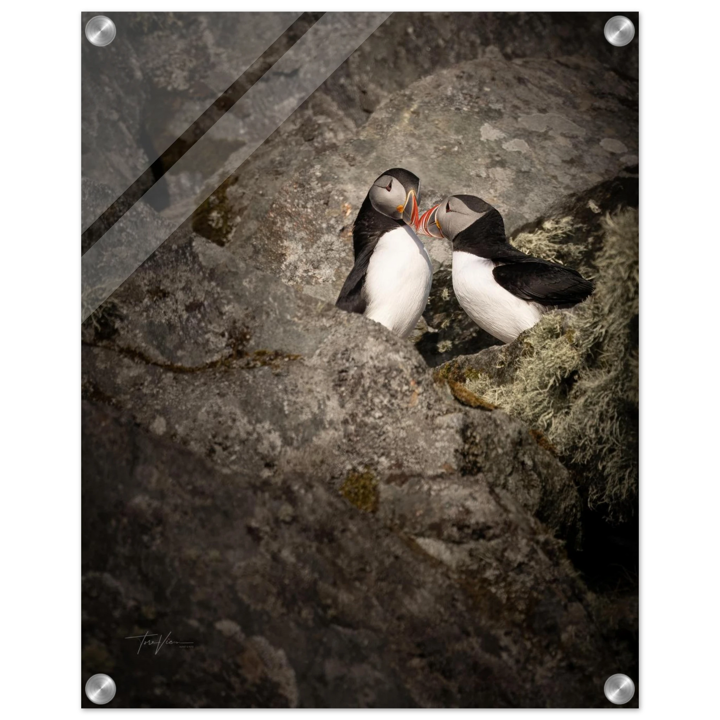 81f7cb6a-2a15-4892-b9cb-1ba447f36a14