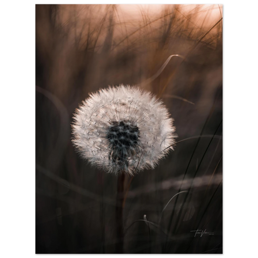 8796aa8d-566f-4b0a-b1d5-f2589d037d47