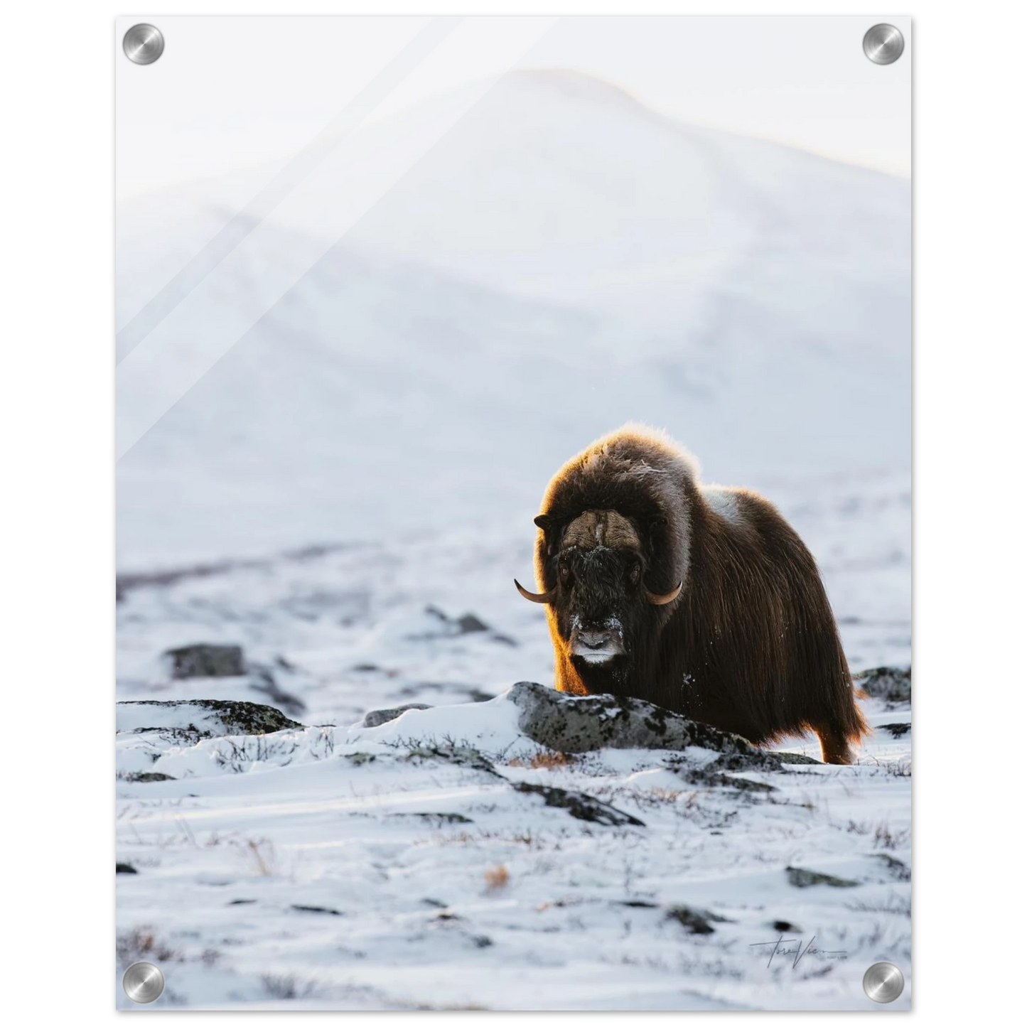 8ab1a7d7-1722-4f16-84f3-f72bd226d359