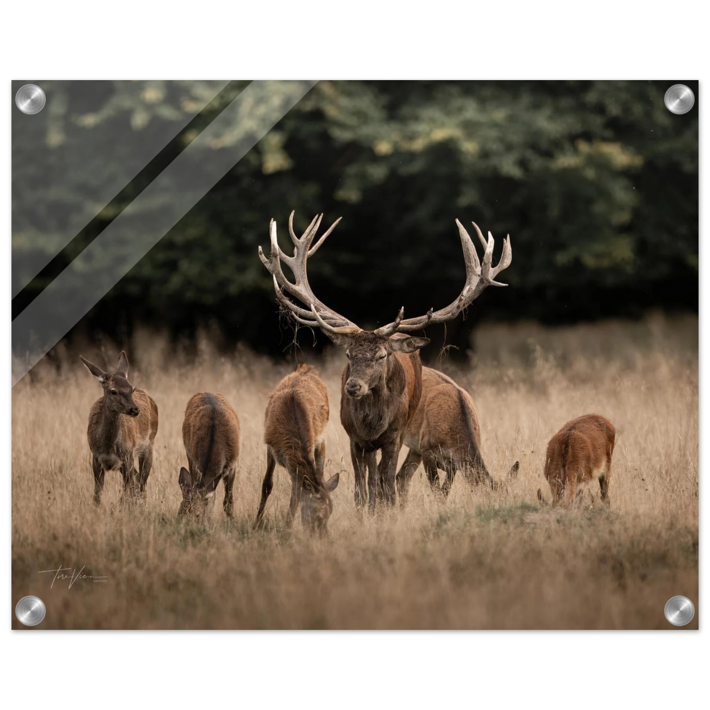 92b8471d-ee6d-4b39-a852-3f82d534042f