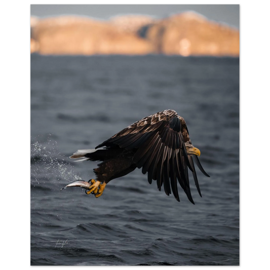 94567fef-560f-49c4-bcbd-ea2ccb915a0c