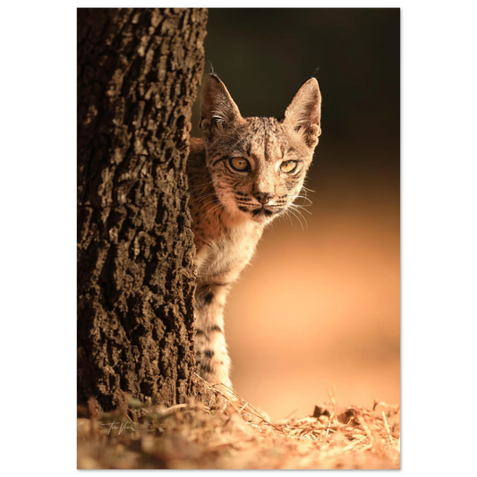 9b6ac1c3-9ee0-490f-8181-8aea4781ec2c