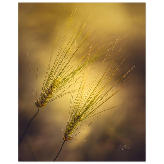 9c3f9d50-9c15-4f87-a650-7403873bb699