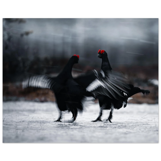 9f0d139c-5b07-47e1-9fb2-ba253e96b492