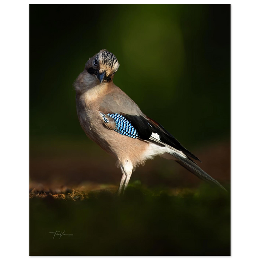 a00e67c0-1a8a-4a24-b4d6-04dfbf52630b