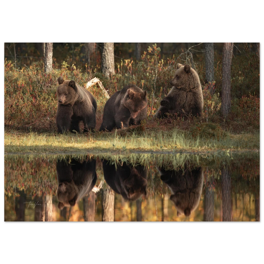 a48c6dd8-47b6-4b90-8e94-f9aadeae9060