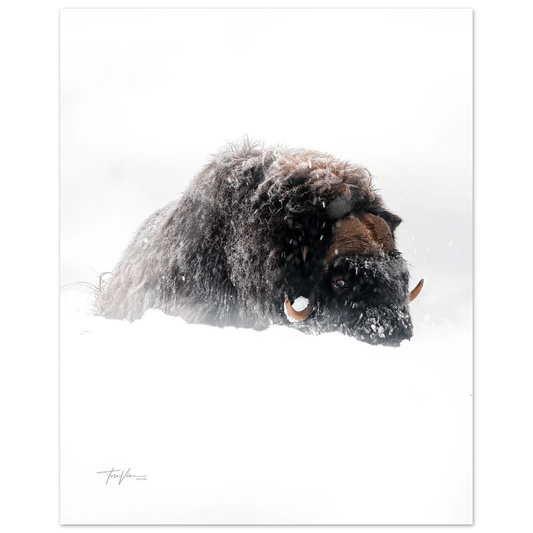 a85f869e-78ac-4568-a80d-773acb1c7da2