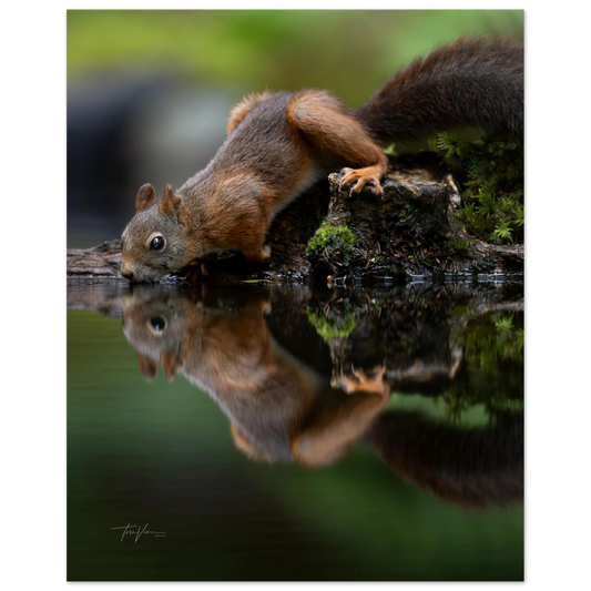 a86f789c-8898-41cc-a1ce-3e45acf527bc