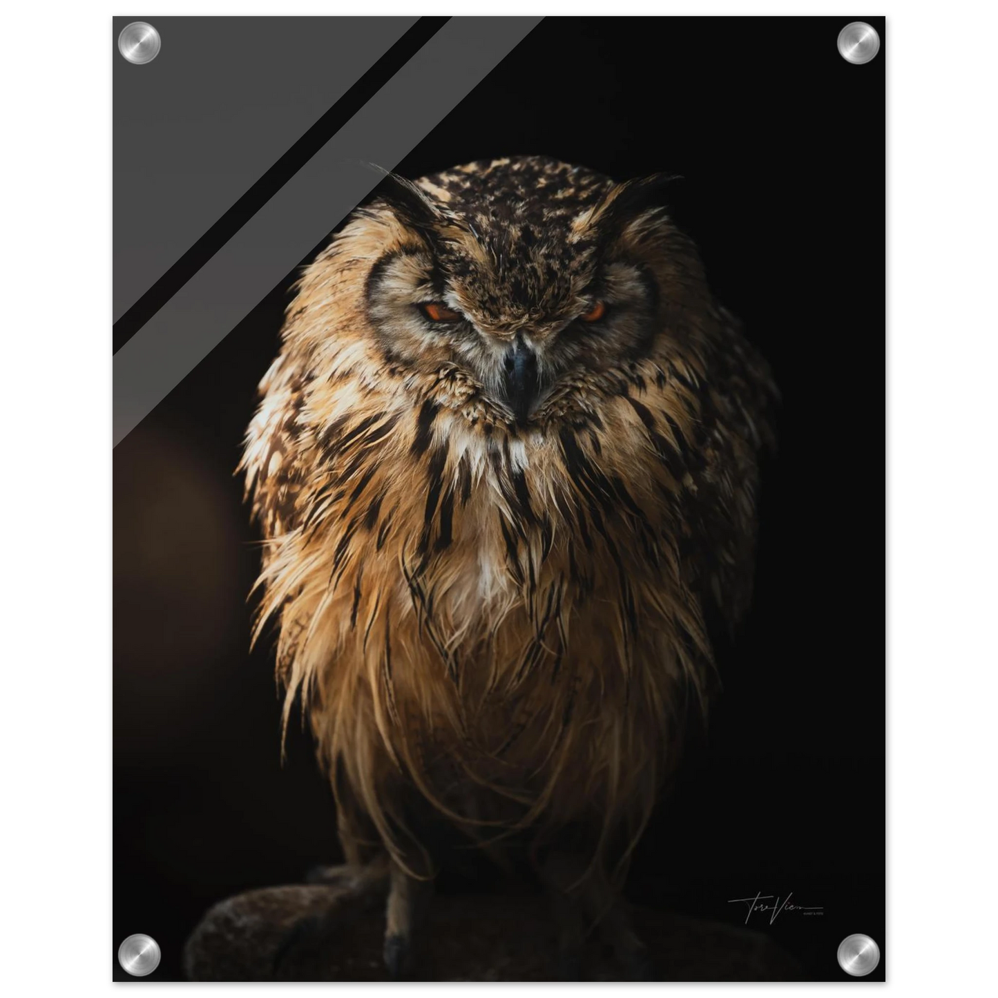 aa1bf747-9b44-4196-b316-f67f548e5d82