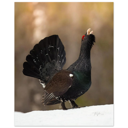 ab5626c1-0403-4d36-b85f-fac6af808b6b