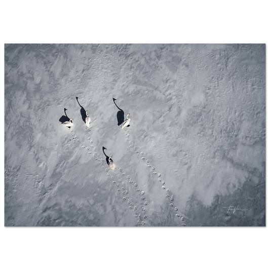 ac825ff4-4d3d-4dc5-b6c9-0cec8a00331d