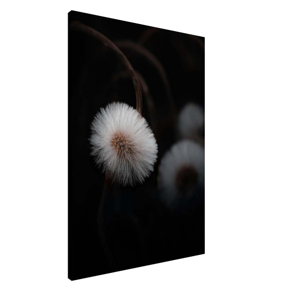 b1536b91-3923-4ba6-9eda-00325b80e68a