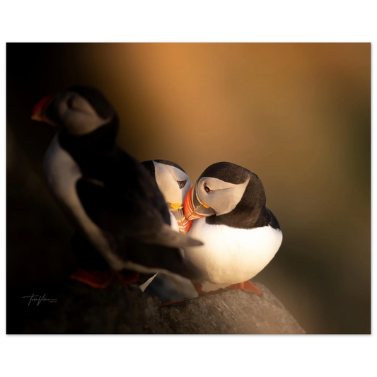 b53223e2-8416-4f70-bab6-f4a292f2a231