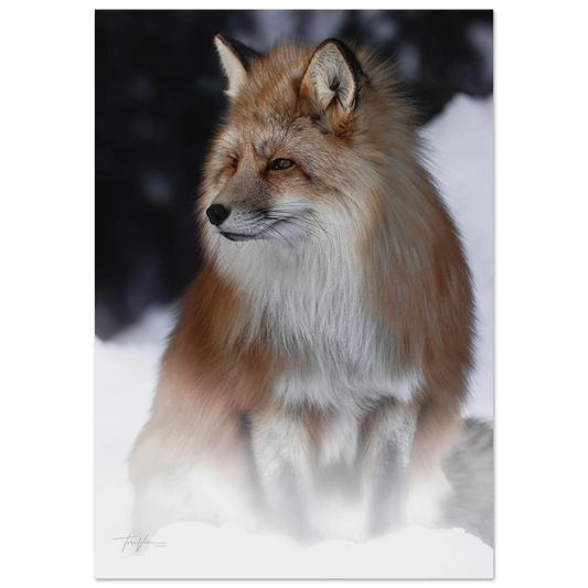 b948028a-2359-4f06-8d2b-a43bba40e9c1