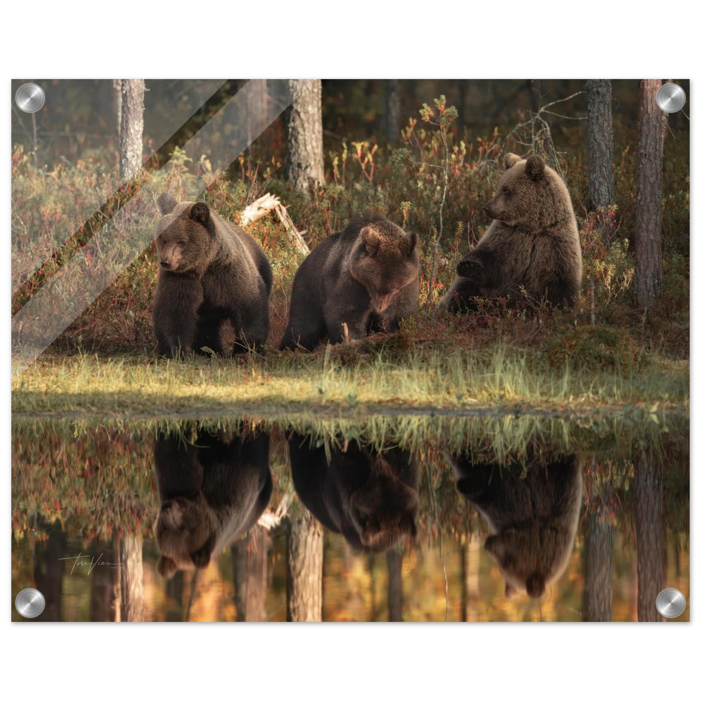 bd350493-6516-4833-8cc1-1f6252b4147b