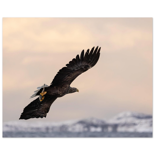 c34d4956-77dc-4bf5-941b-b49ebdd3d6c9