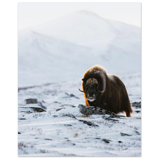 d022bfe1-0604-4609-b126-9c6e4516956b