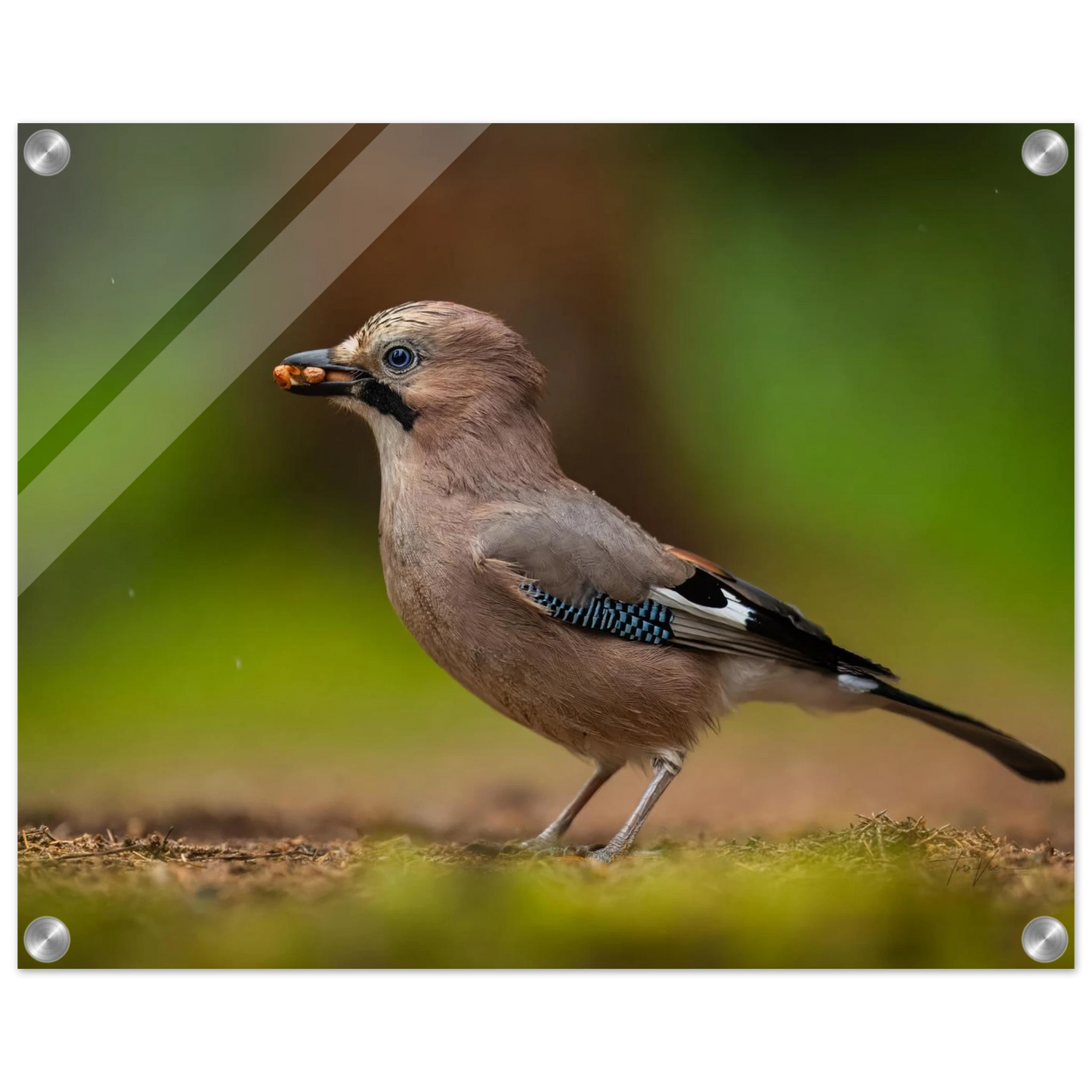 d34fc11e-2aa3-4863-8f58-775408801619